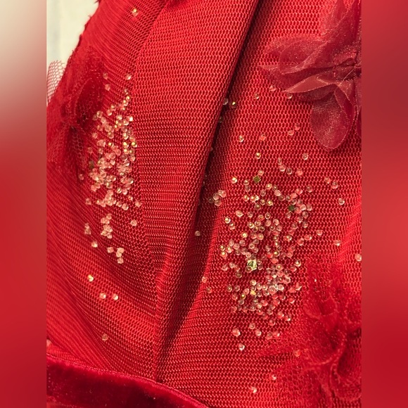 NWT Marchesa Notte Red Floral Appliqué Embellished Fit to Flare Dress Size 2 - Picture 8 of 10